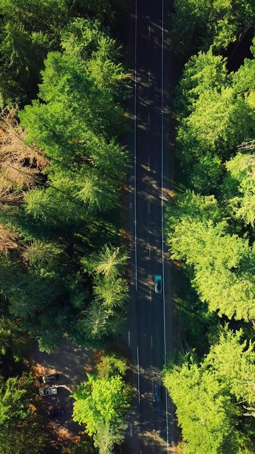 Aerial View of Vehicles Moving in the Highway Surrounded by Trees