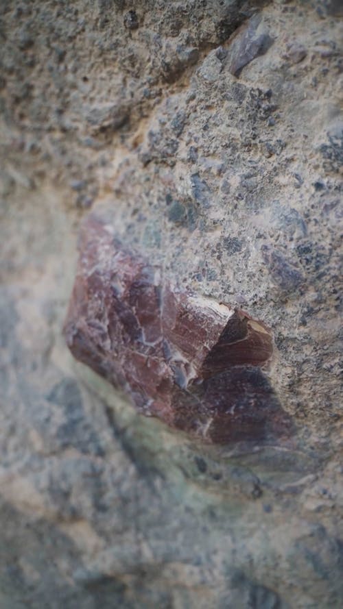 Close Up Shot of a Rock