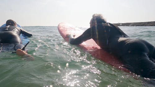 People Doing Surfing 