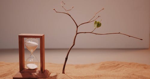 A Twig on a Sand 