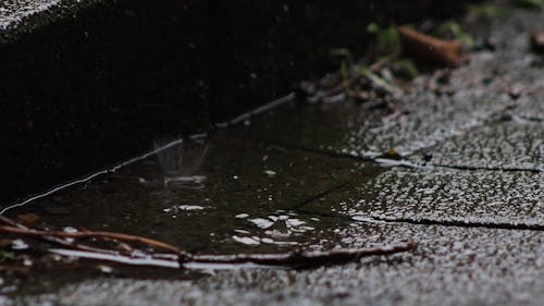 Slow Motion Video of Raindrops