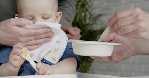 Parents Feeding Their Child 