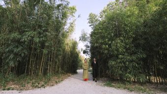 道士视频素材