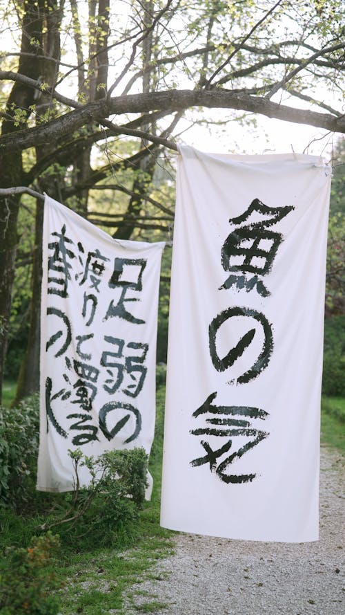 Hanging Banners On A Tree With Japanese Calligraphy