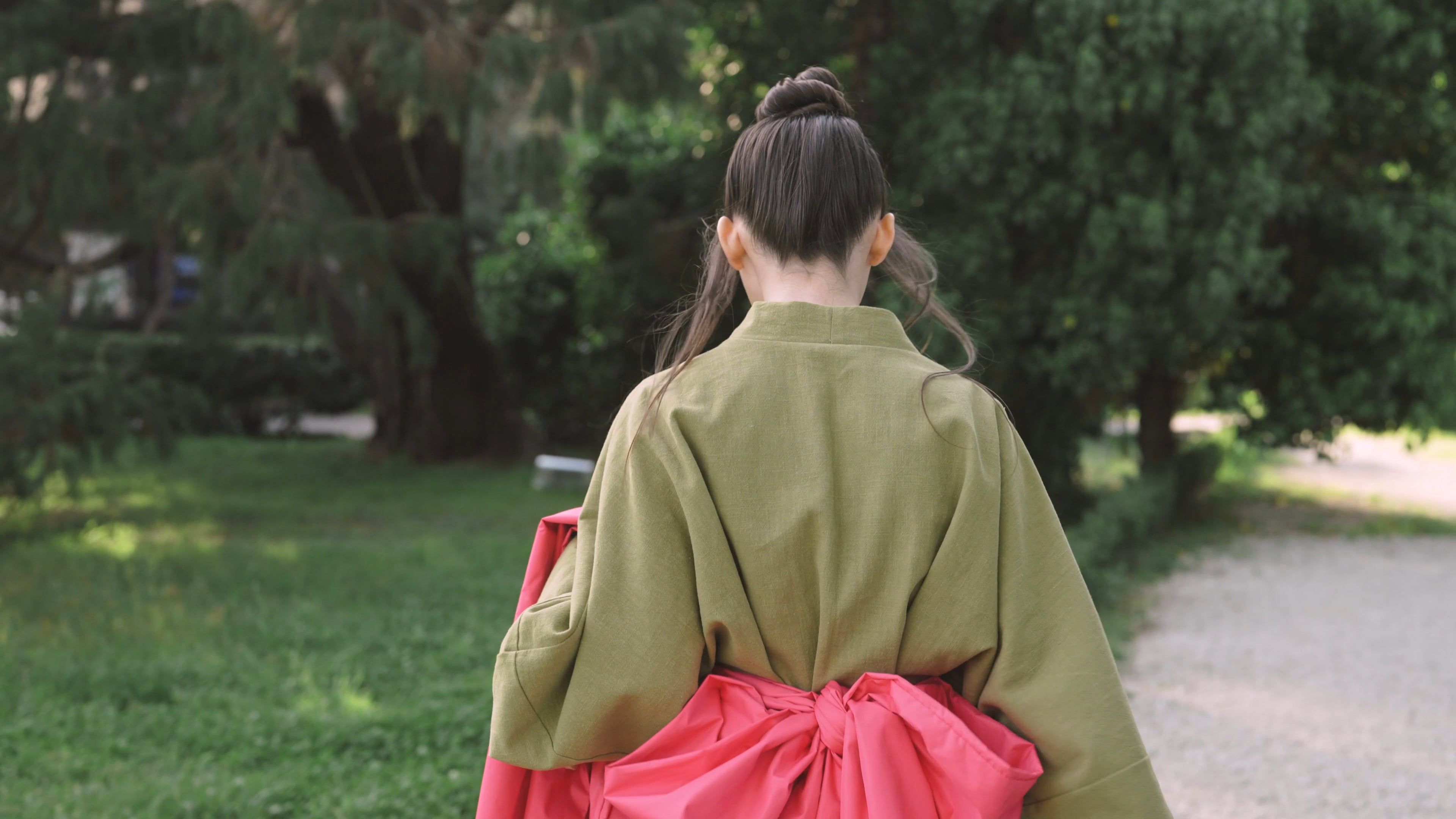Back View Of Woman Walking In The Park Free Stock Video Footage ...