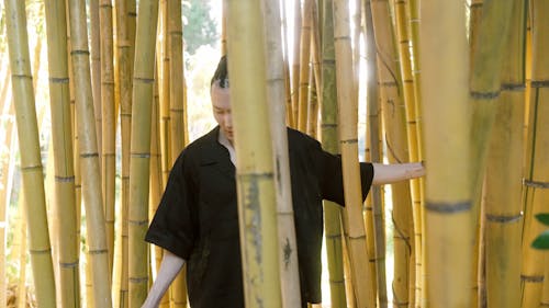 Man Standing Between Bamboo Stalks