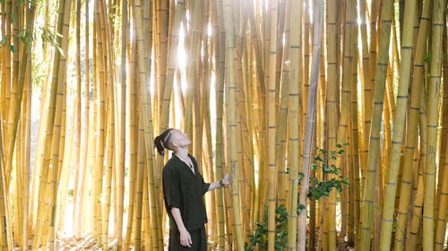 Man Standing Beside Bamboo Trees