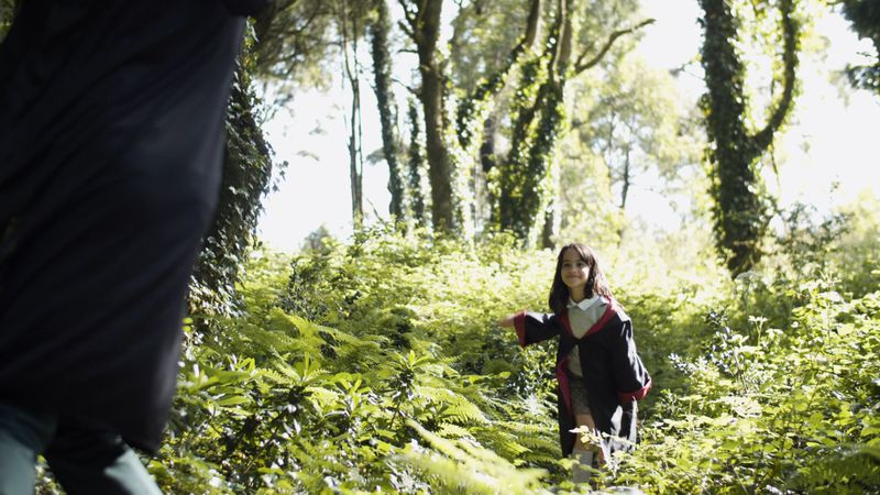 Larp Clips Larp Videos, Download The BEST Free 4k Stock Video Footage & Larp HD ...