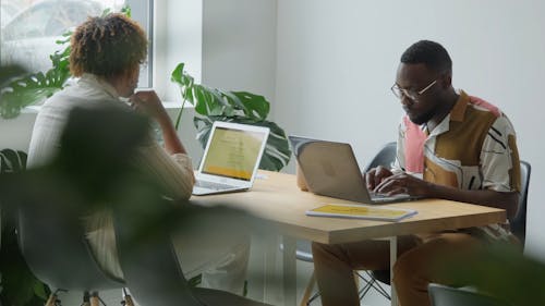 Employees Working on their Laptops in the Office