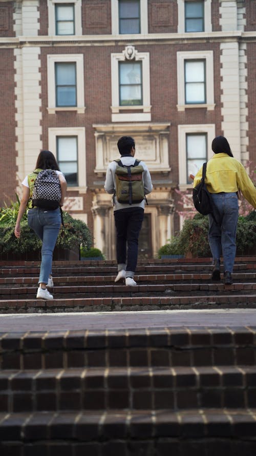 friends going Inside the University Campus