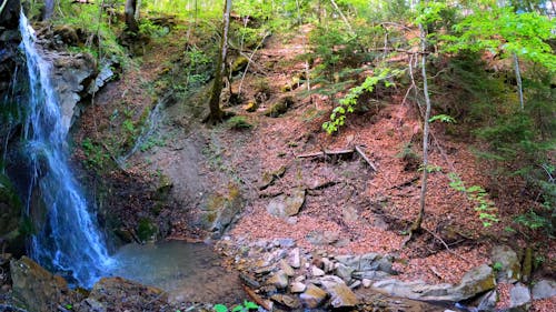 Waterfalls in the Forest