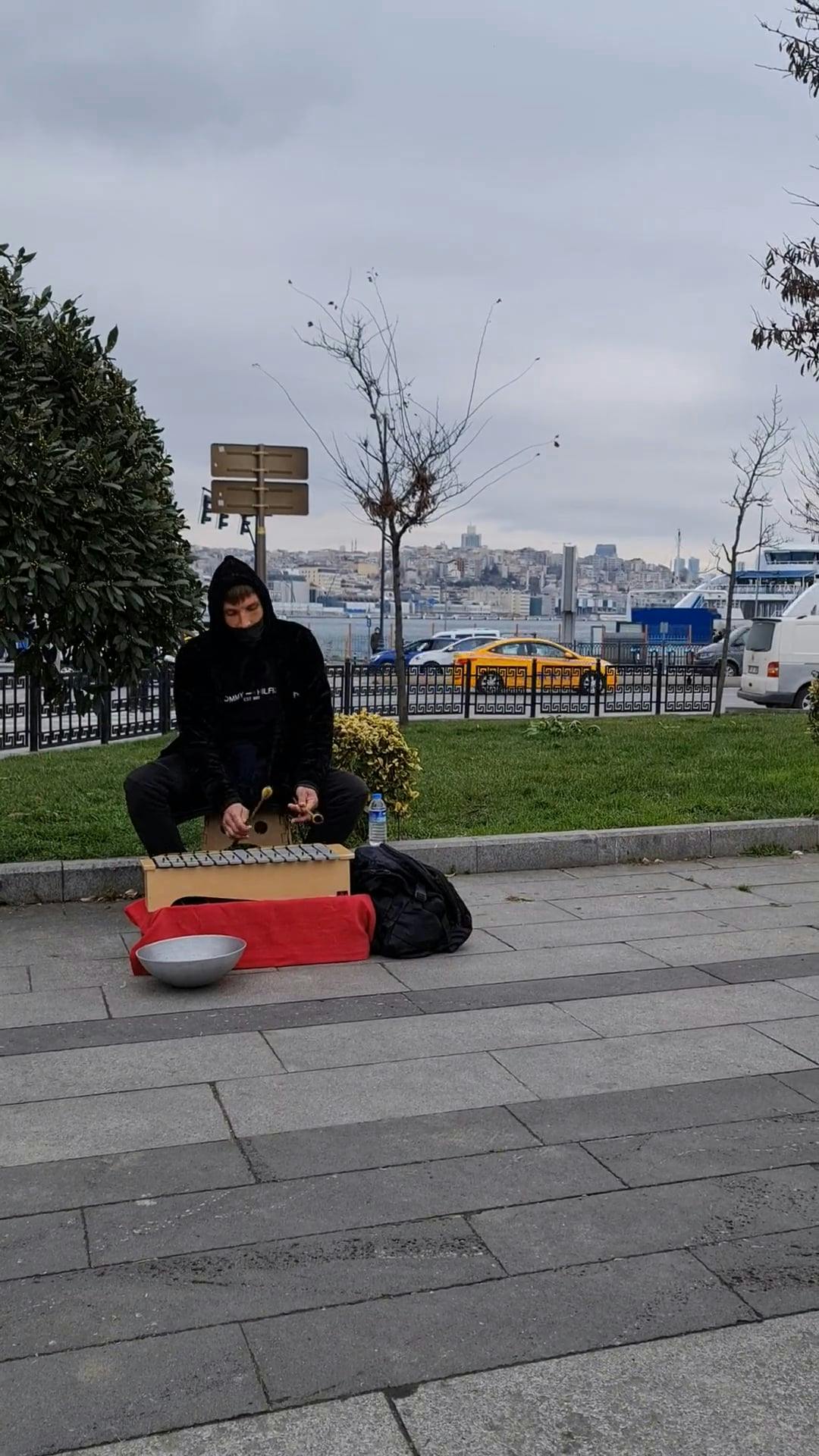 pexels-photo-8009907.jpeg?auto=compressu0026cs=tinysrgbu0026dpr=2u0026w=500