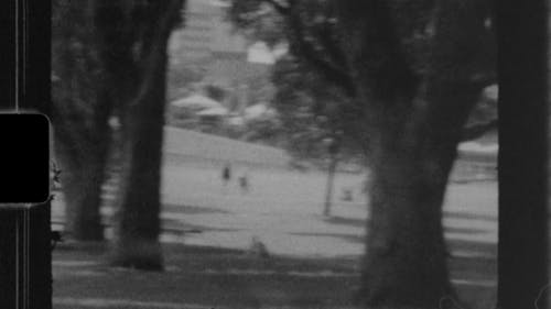 Grayscale Video of People Walking on the Grass
