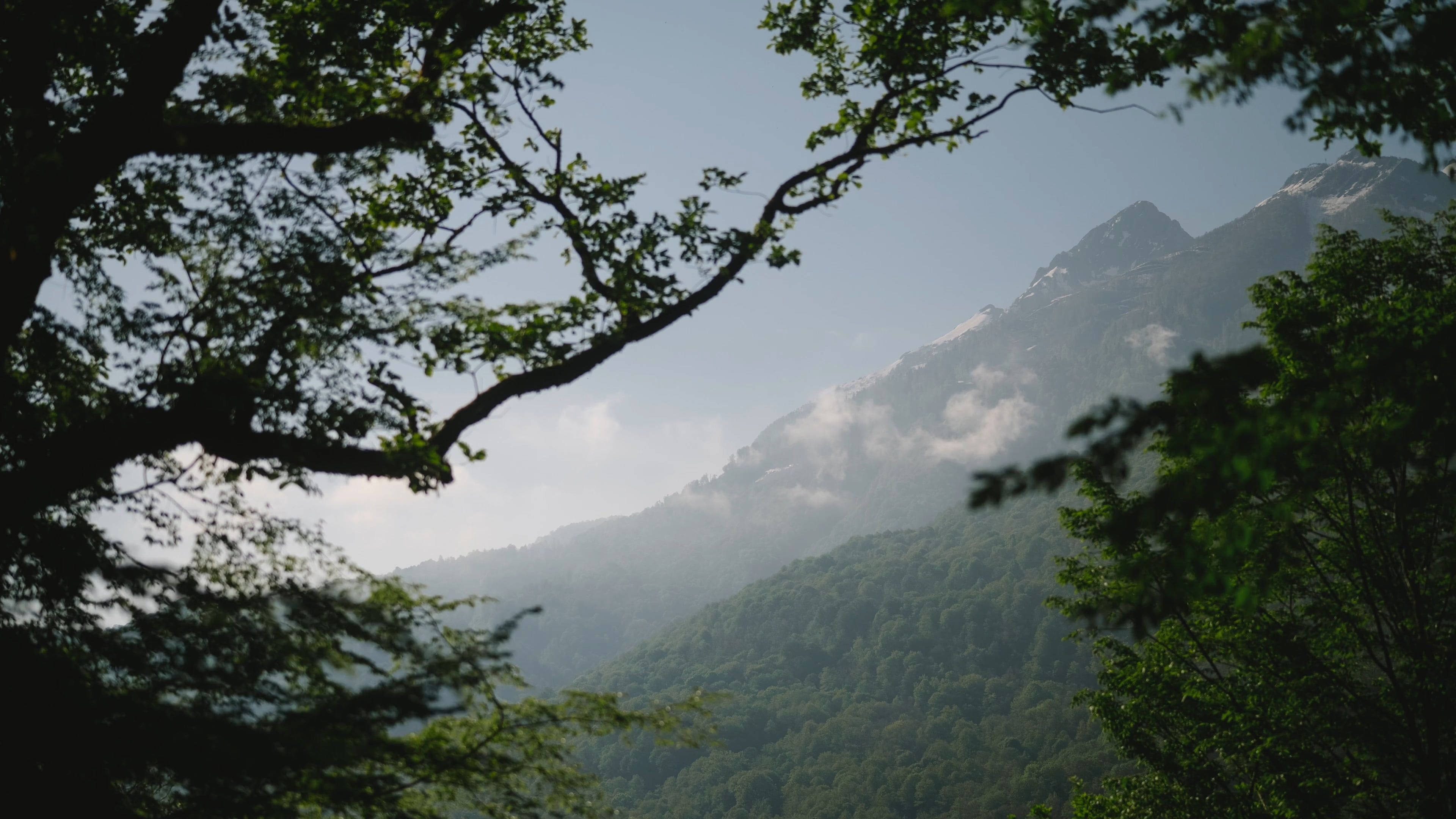 Video by Yaroslav Shuraev
