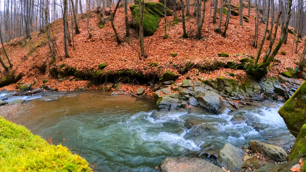 Water Flowing in the River Free Stock Video Footage, Royalty-Free 4K ...