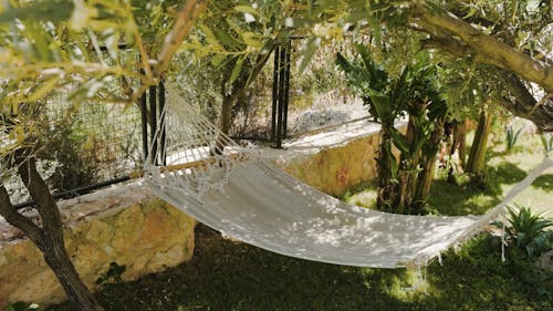 A Hammock Hanging In The Garden