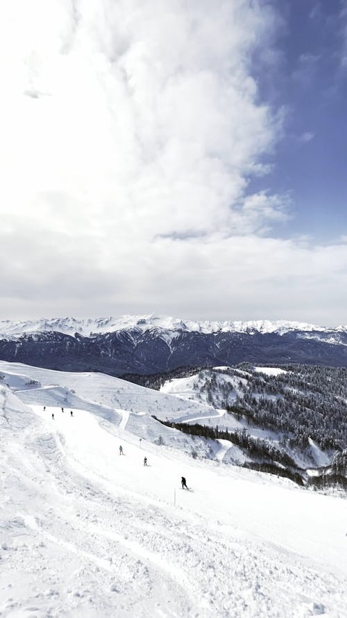 People Doing Snowboarding