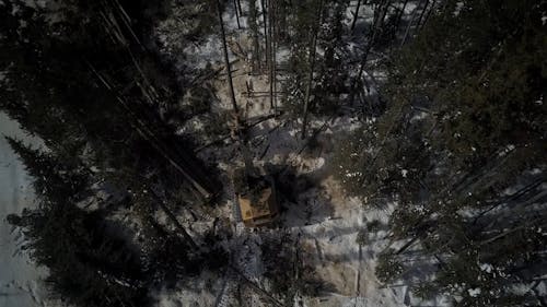 Drone Footage of a Tree Machine Cutting