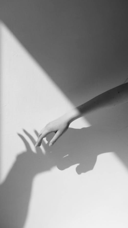 A Woman's Arm in the Sunlight
