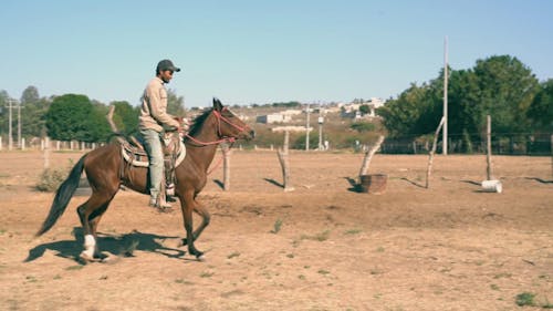 A Cowboy Riding a Horse