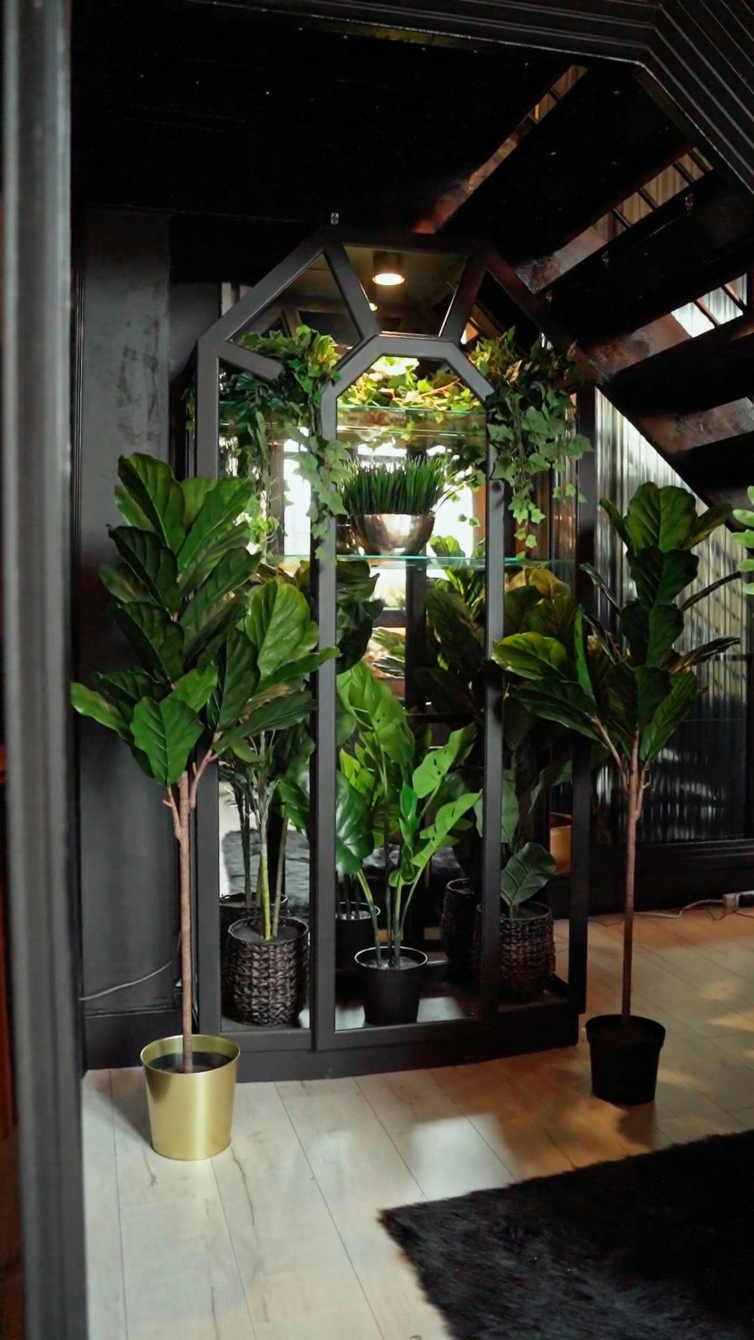 Beautiful Indoor Plants · Free Stock Video