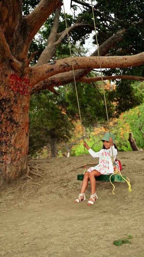 A Little Girl Swinging Under the Tree