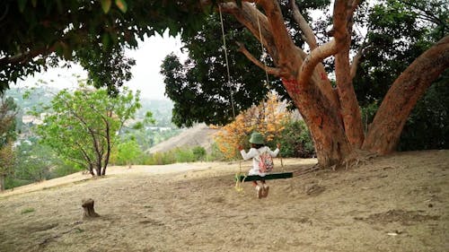 A Child Swinging Under the Tree