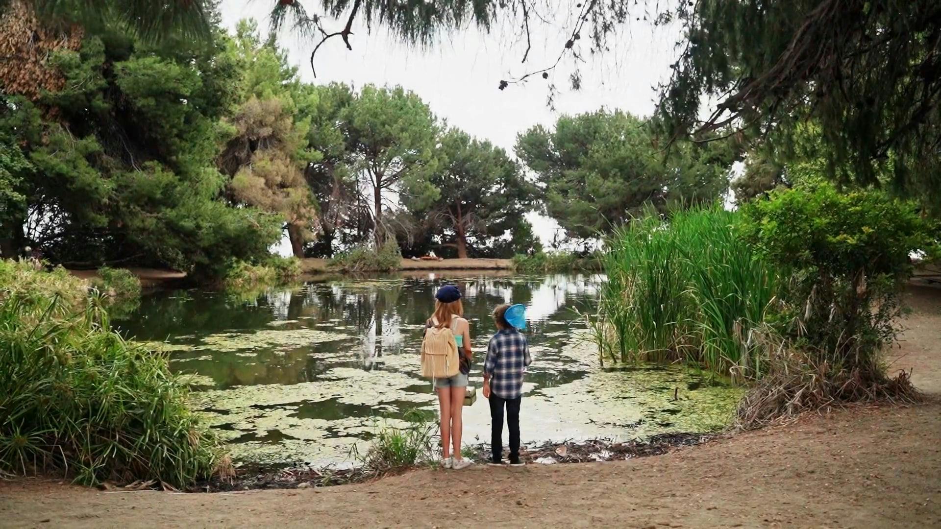 Olathe Ks Case Net Videos, Download The BEST Free 4k Stock Video