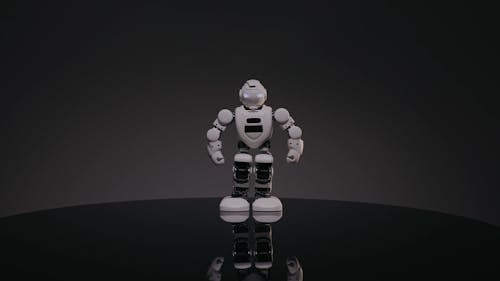 A Walking Robot