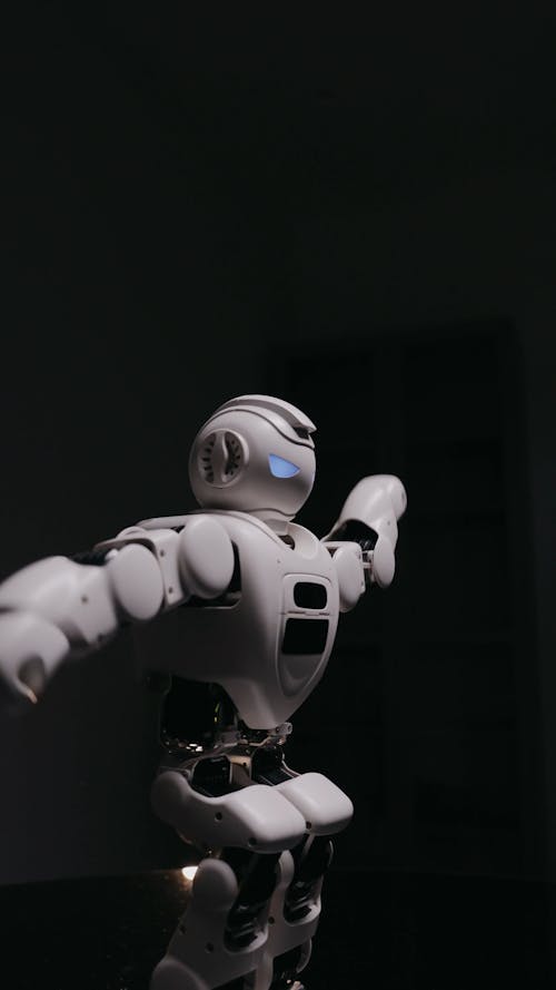 A Moving Toy Robot