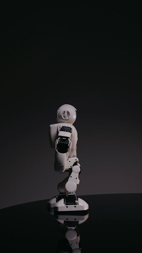 A Walking Robot