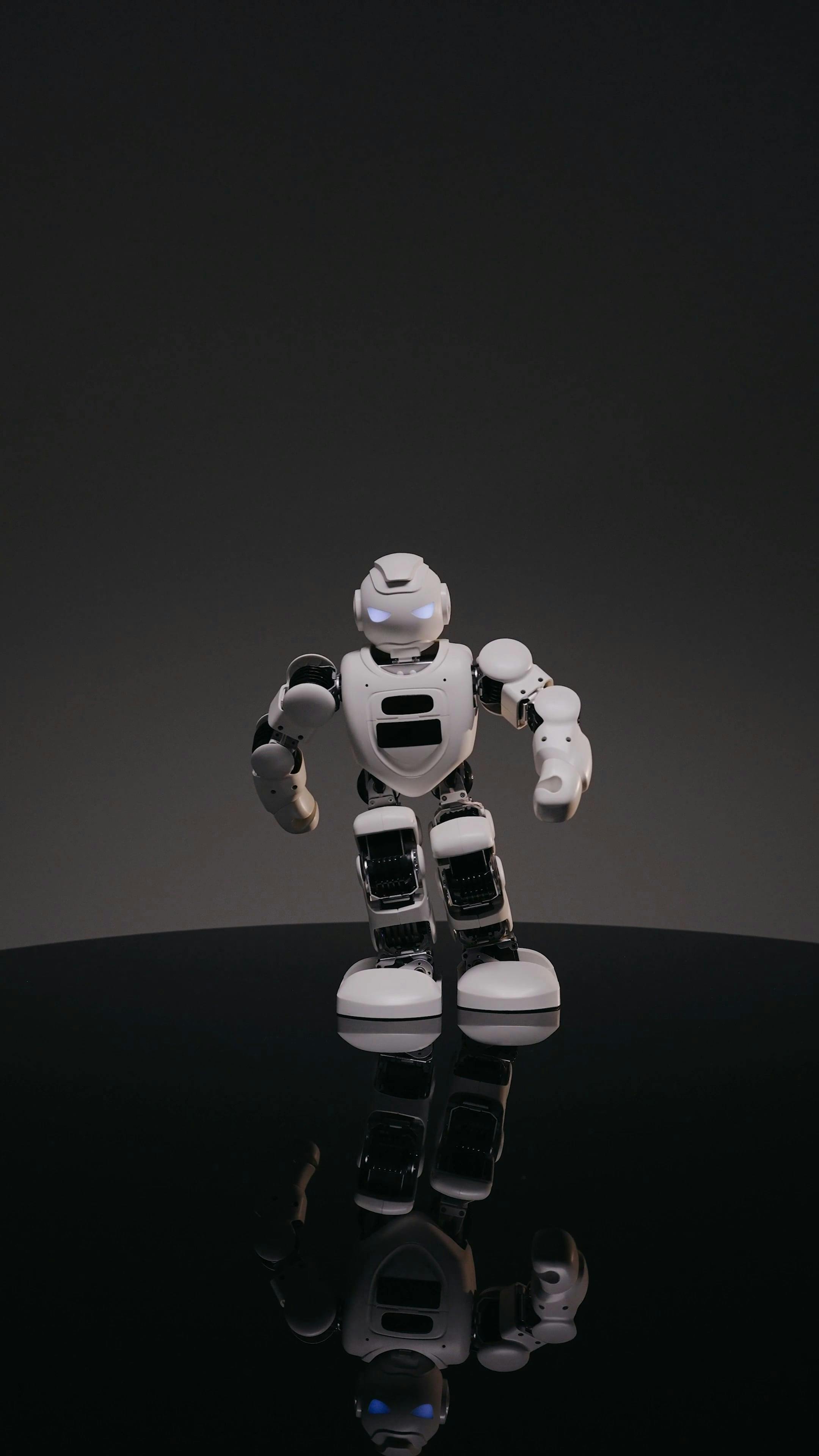 Video by Pavel Danilyuk