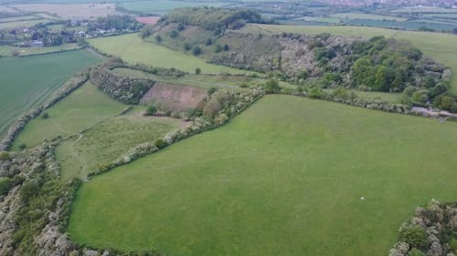 Drone Footage of a Grassland