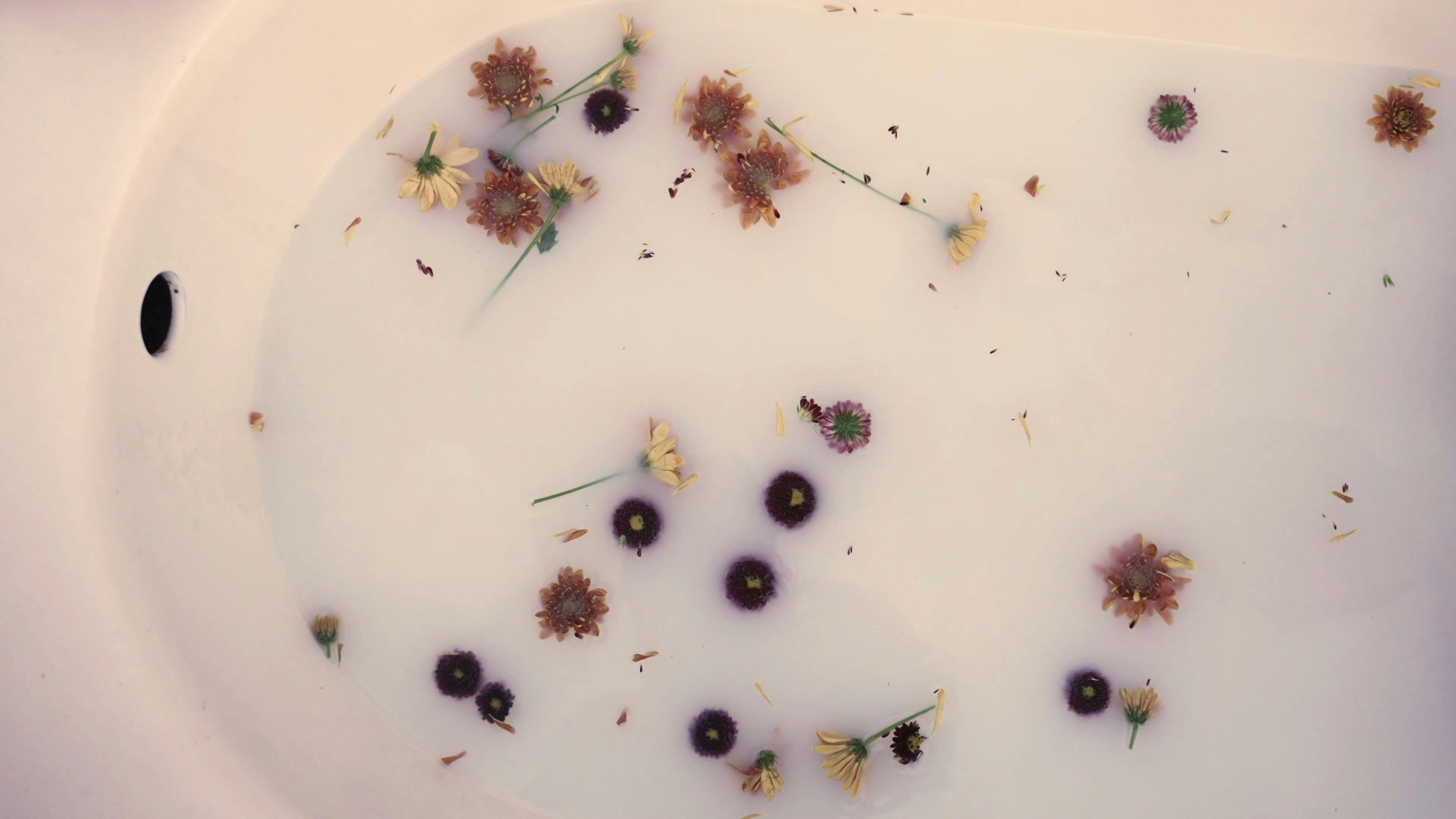 A Person Submerging Flowers on a Bathtub · Free Stock Video