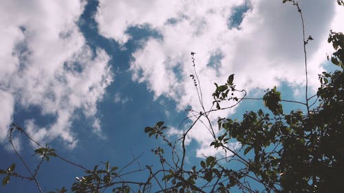 Blue Sky with White Clouds