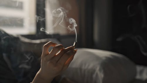 Girls smoking weed videos