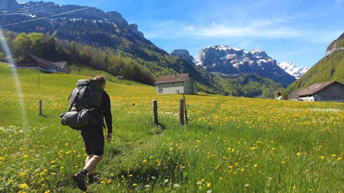 A Backpacker Walking Between Flower Meadows