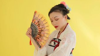 新中式视频素材