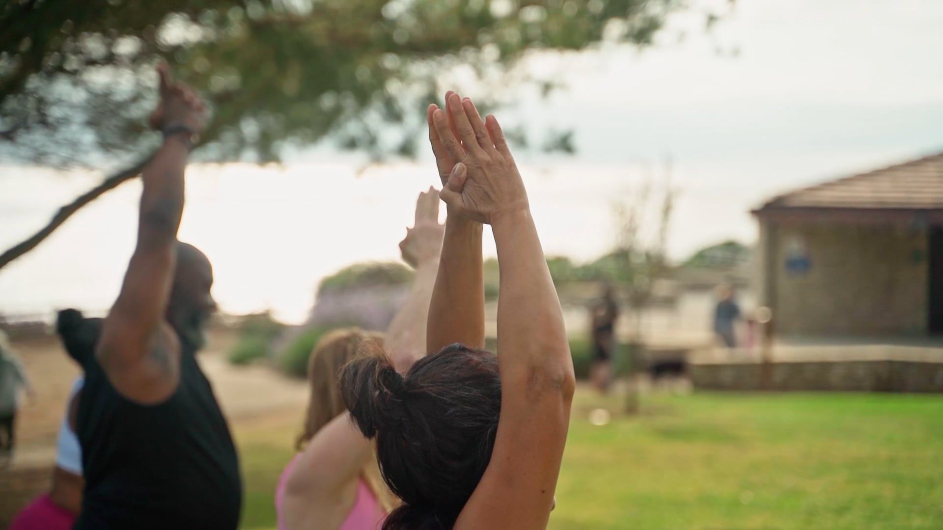 People Exercising in the Park · Free Stock Video
