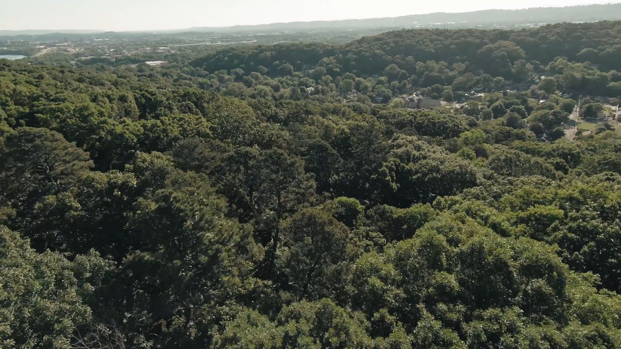 Drone Footage of a Houses Surrounded by Trees Free Stock Video Footage ...