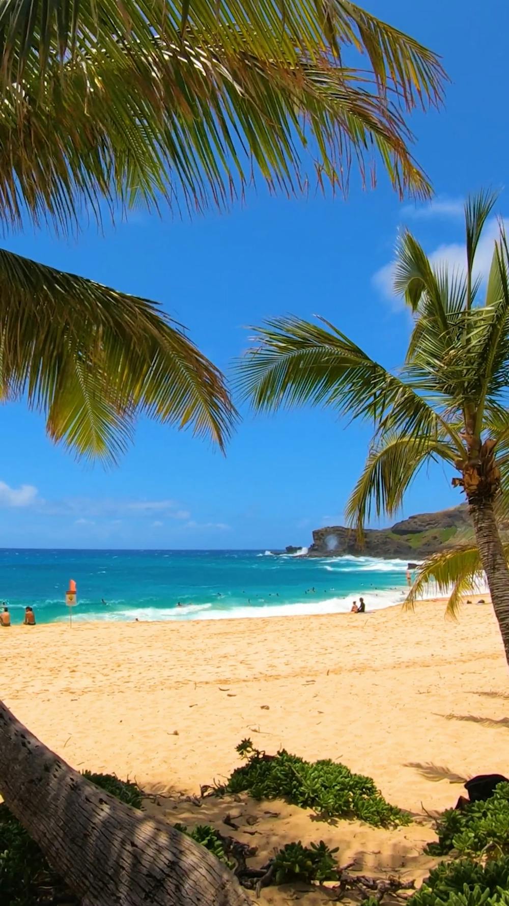 An Almost Empty Beach In Honolulu Hawaii · Free Stock Video