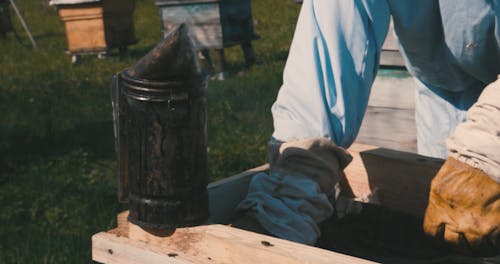 Close up of a Beekeeper Working on a Langstroth Hive