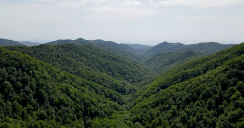 Aerial Shot of Landscape
