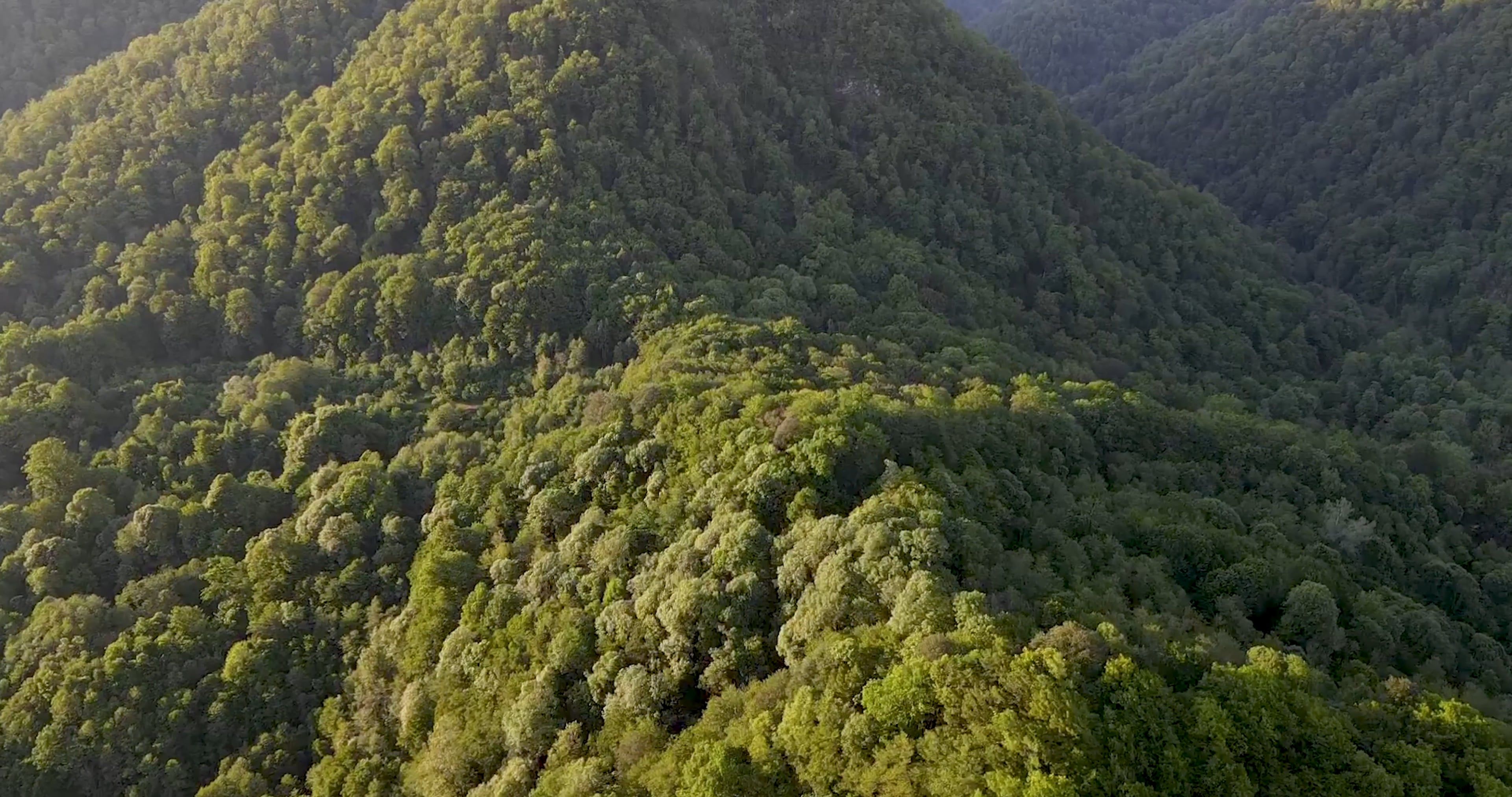 Aerial View of the Lush Mountains Free Stock Video Footage, Royalty ...