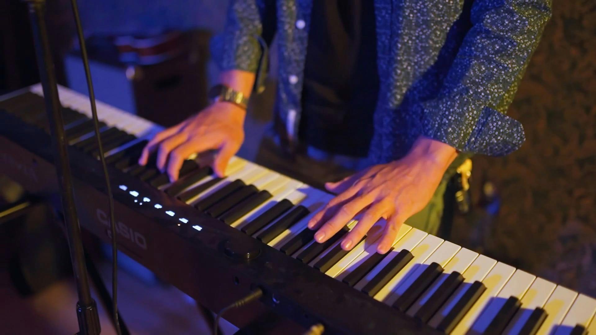 Buckshot Band Melbourne Fl Videos, Download The BEST Free 4k Stock Video Footage & Buckshot Band