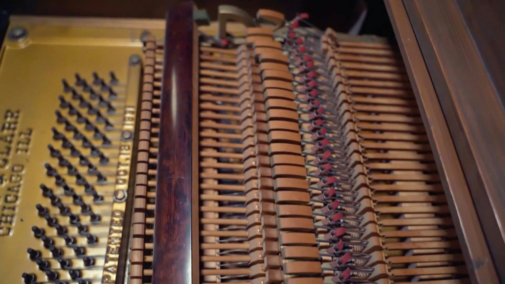 Close Up Shot of Piano Tuning Pins · Free Stock Video