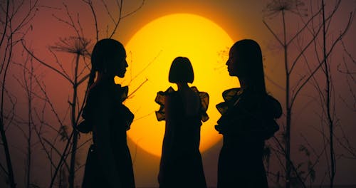 Silhouette of Women Standing