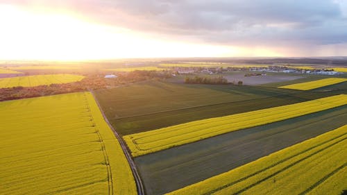 Aerial Footage Of Farmlands