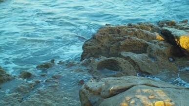 video of a waves crashing on rocks