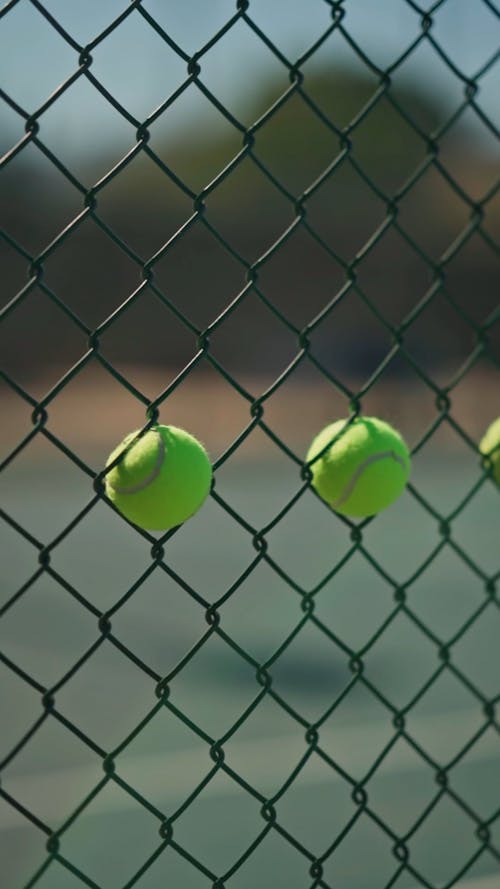 Tennis Balls Stock On Chain Link Fence